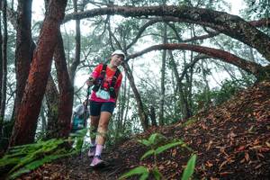 BIB: 
                            <button type="button" onclick="openModal(26343934)" class="btn btn-primary btn-sm float-right btn-popup" data-toggle="modal" data-target=".modal-high-quality">
                        <i class="fas fa-shopping-cart"></i> Add to Cart
                    </button>
                                            <button type="button" onclick="isThisMe(26343934, true)" class="btn btn-success btn-sm float-right btn-popup btn-isme hidden" data-toggle="tooltip" data-placement="bottom" title="นี่คือรูปของคุณใช่ไหม คลิกที่นี่เพื่อเอาเข้าอัลบั้ม">
                        <i class="fas fa-plus"></i> Add to album
                    </button>
                    <button type="button" onclick="isThisMe(26343934, false)" class="btn btn-warning btn-sm float-right btn-popup btn-isnotme hidden">
                        <i class="fas fa-ban"></i> Remove from album
                    </button>